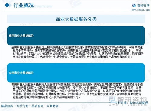 2026年中國(guó)商業(yè)大數(shù)據(jù)服務(wù)行業(yè)市場(chǎng)運(yùn)行態(tài)勢(shì)分析與未來(lái)增長(zhǎng)潛力展望