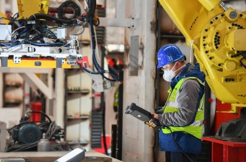 專科畢業生的職業流向 數據揭示主流去向，過來人分享真實體會