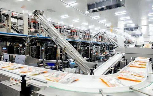 嚴防嚴控安全風險 河北部署開展冷凍飲品 速凍食品生產企業專項整治行動